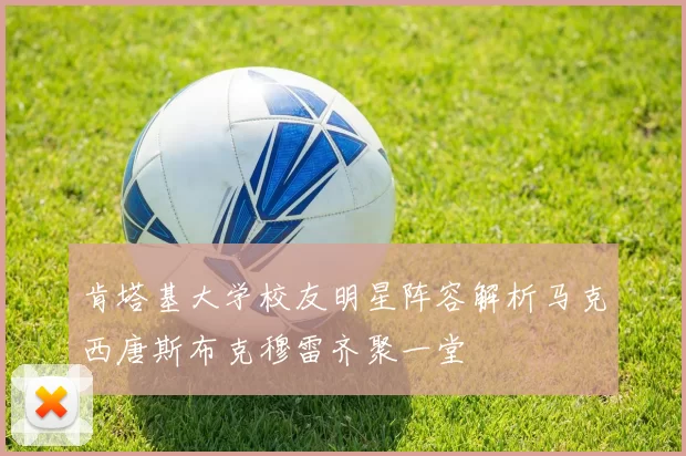 肯塔基大学校友明星阵容解析马克西唐斯布克穆雷齐聚一堂