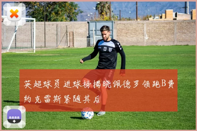 英超球员进球榜揭晓佩德罗领跑B费约克雷斯紧随其后