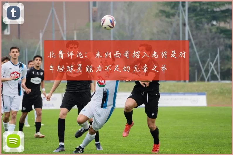 北青评论：米利西奇招入老将是对年轻球员能力不足的无奈之举