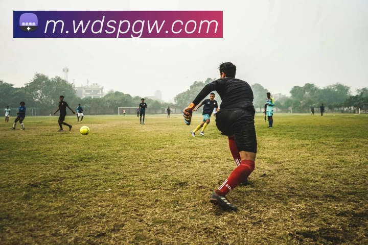 多媒体互动体验